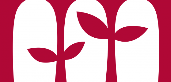 msapplication-wide310x150logo